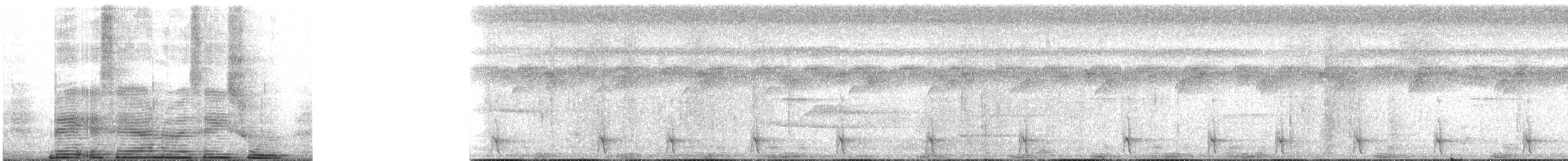 White-tailed Trogon - ML250821