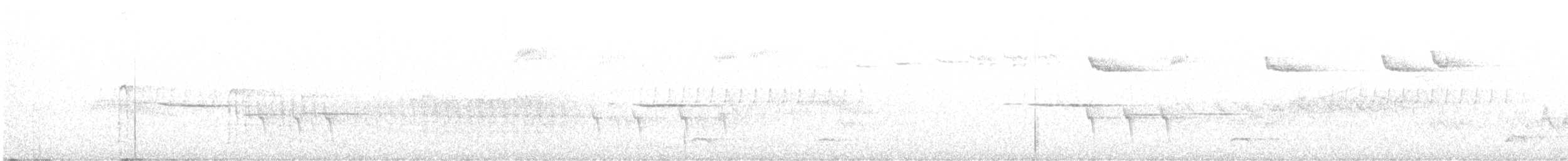 Piquituerto Común (tipo 2) - ML250846211