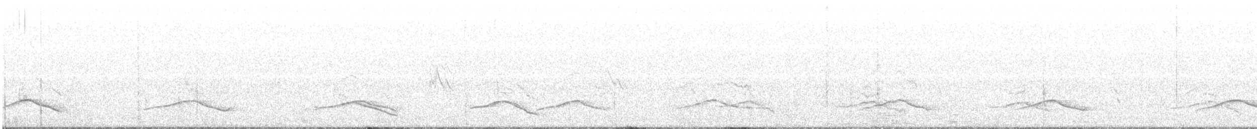 Passeriformes sp. - ML250896911