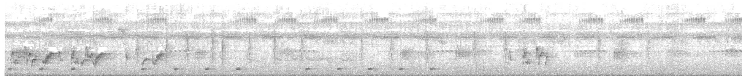 vousáček žlutokostřečný - ML250900371