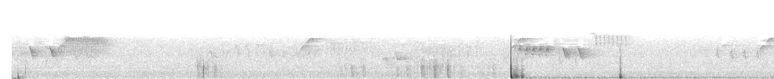 Batı Amerika Sinekkapanı (occidentalis/hellmayri) - ML251014071