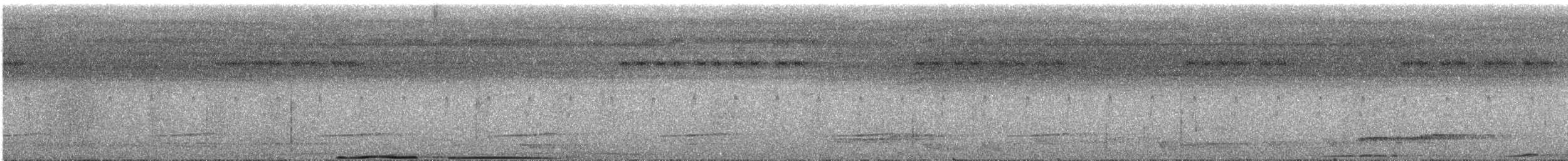 Carpophage de Pinon (pinon/jobiensis) - ML251051211