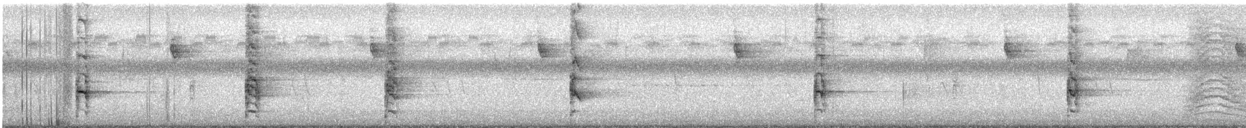 grynterikse (limicola/friedmanni) - ML251058421