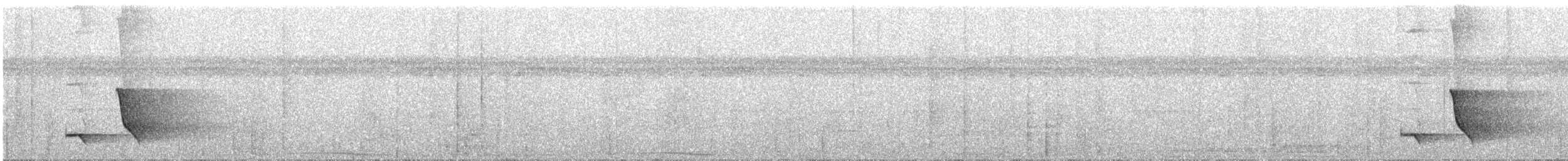 Miro à flancs noirs - ML251075771