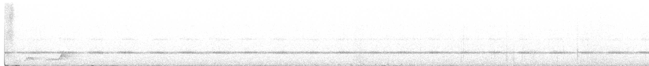 Mexikonachtschwalbe - ML251135141