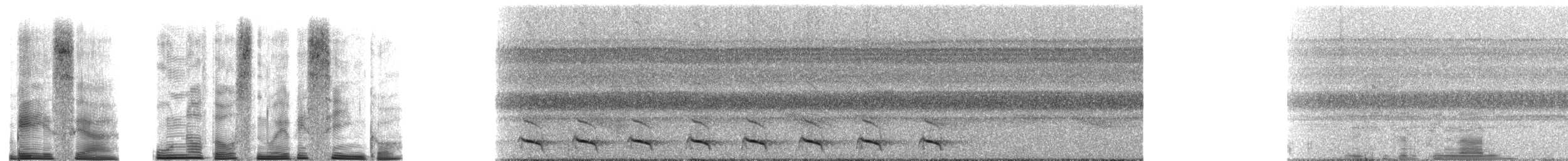 Green-backed Trogon - ML251154