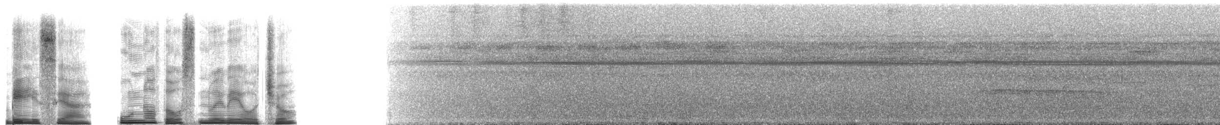 Blue-gray Tanager - ML251157