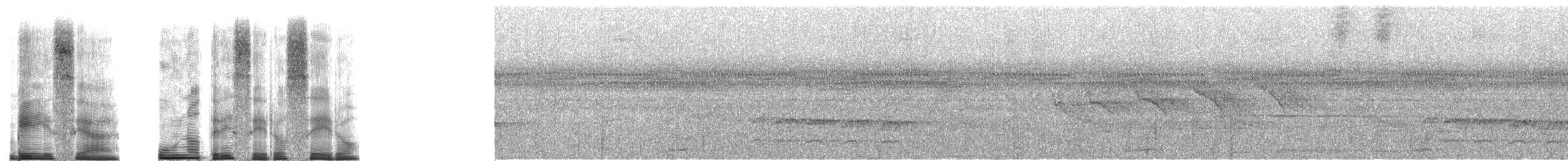 Dusky Antbird - ML251159