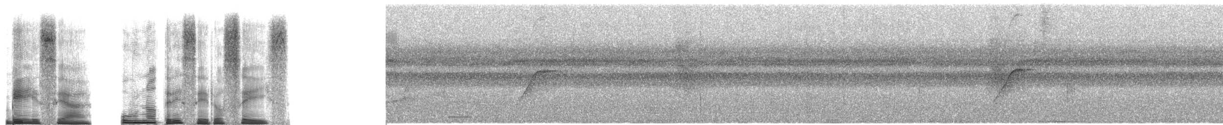 Slender-footed Tyrannulet - ML251165