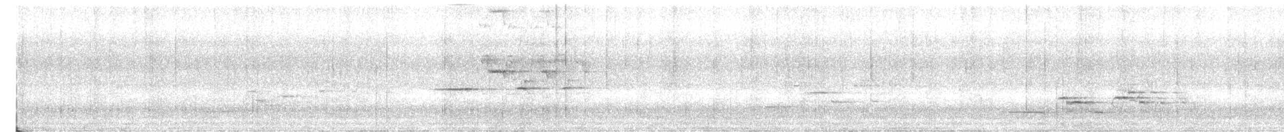 Hermit Thrush - ML251166051