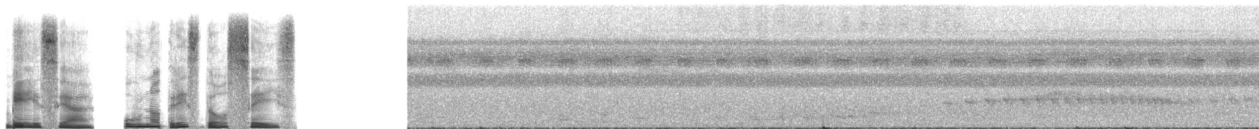 Troglodyte coraya - ML251185