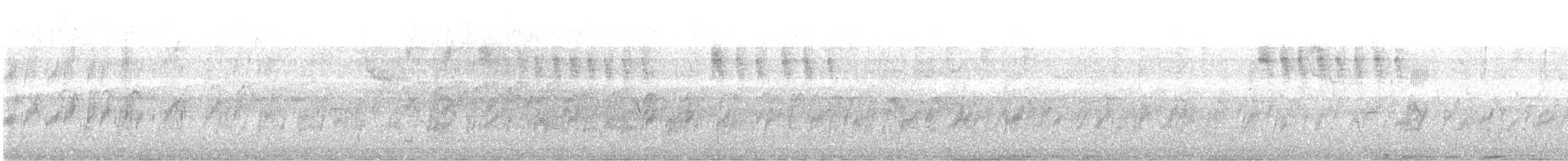 hvitnakkeseiler - ML251215681