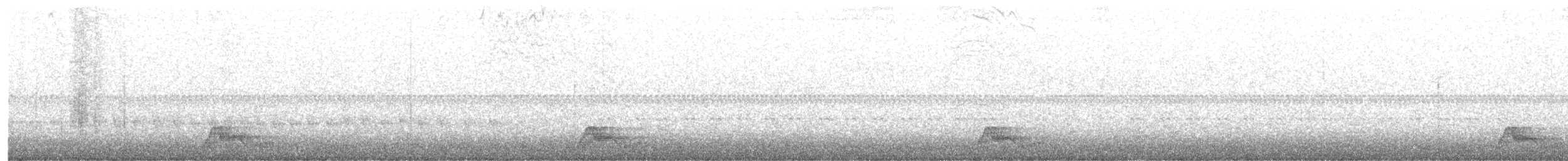 Pauraquenachtschwalbe - ML251218091