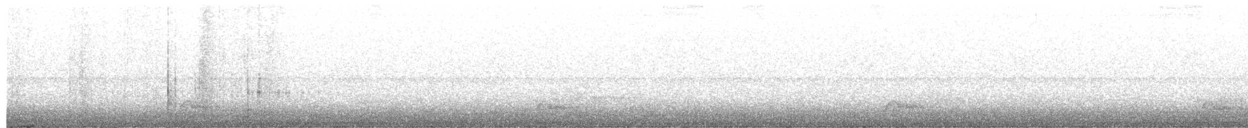 Pauraquenachtschwalbe - ML251218141