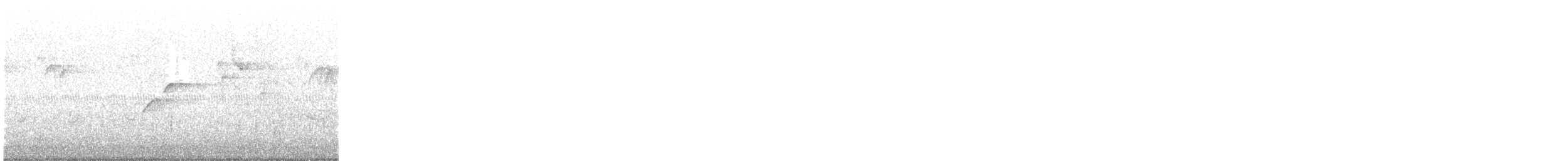 Batı Amerika Sinekkapanı (occidentalis/hellmayri) - ML251222291