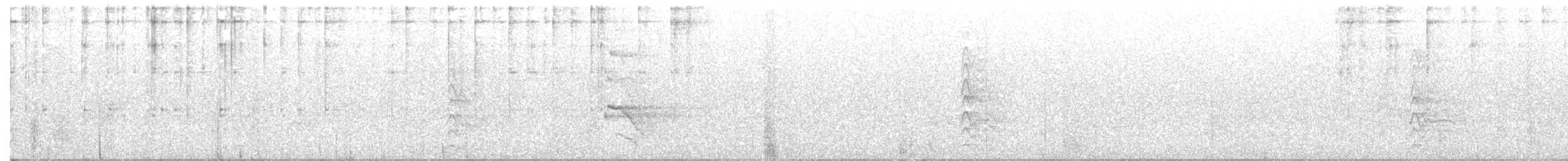 datel rudohrdlý - ML251241231