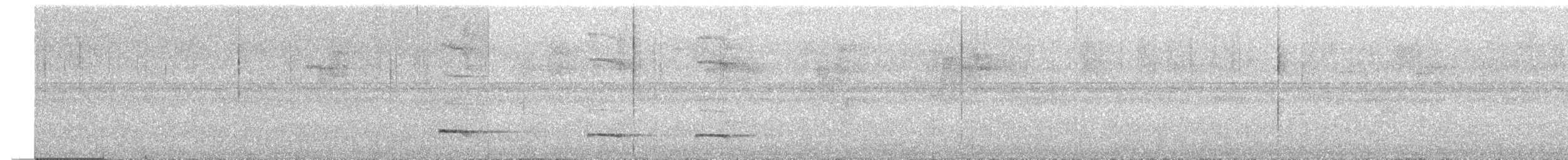 Graubrust-Ameisendrossel - ML251312861