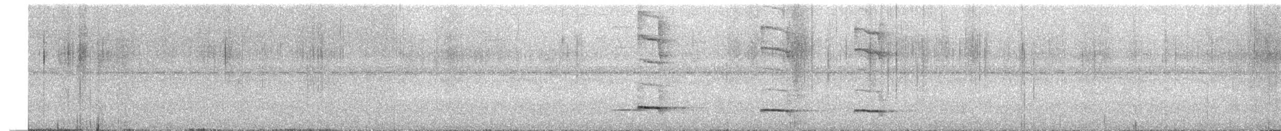 Graubrust-Ameisendrossel - ML251313141