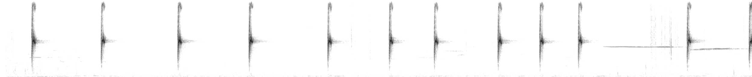 strnadec bělohrdlý - ML251342641