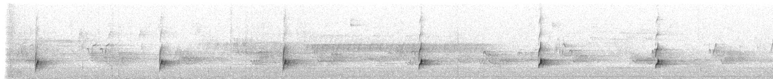 drozd západní [skupina swainsoni] - ML251346061