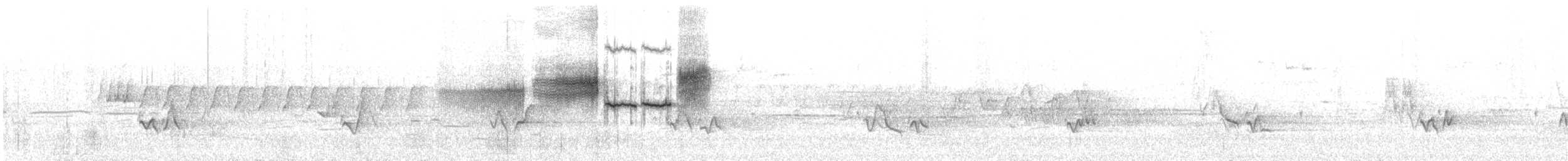 lesňáček proužkoboký - ML251346681