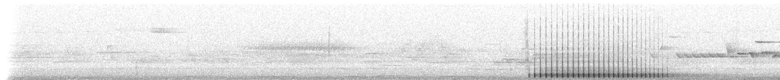 datlík černohřbetý - ML251346751