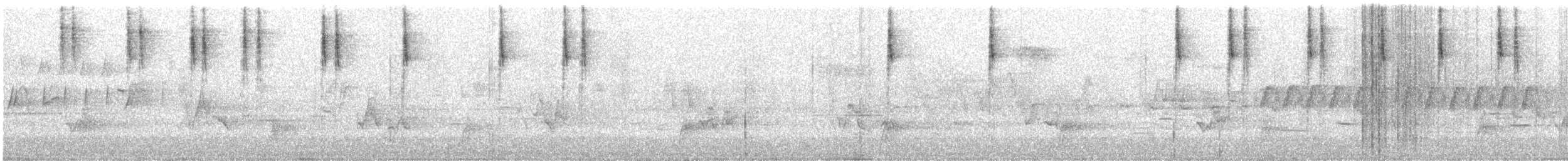 lesňáček proužkoboký - ML251346791