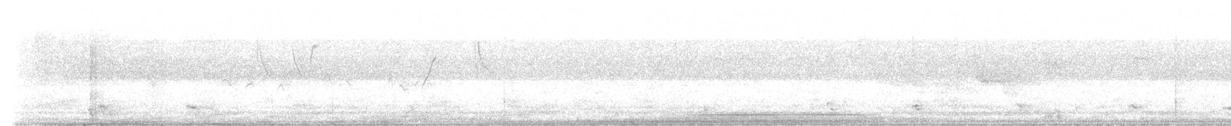 Neotropic Cormorant - ML251374351