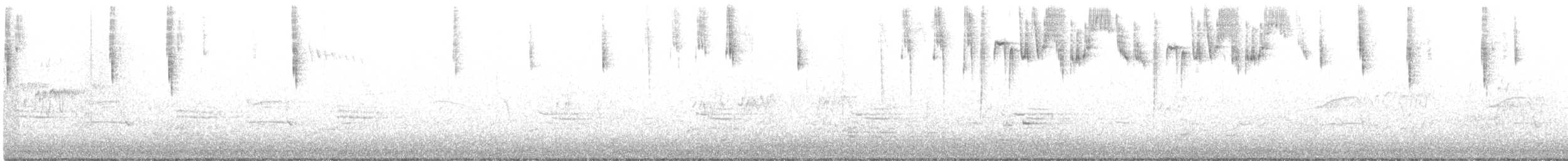 Southern Emuwren - ML251378621