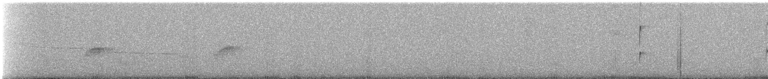 Чешуегорлый колибри-отшельник - ML251413651