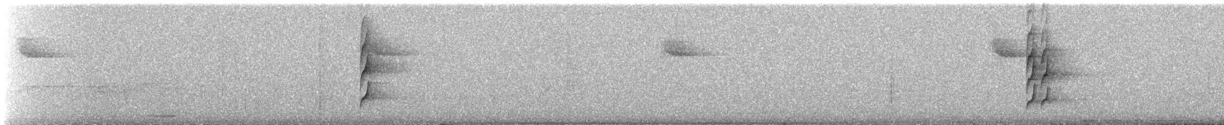 White-throated Spadebill (Eastern) - ML251413681