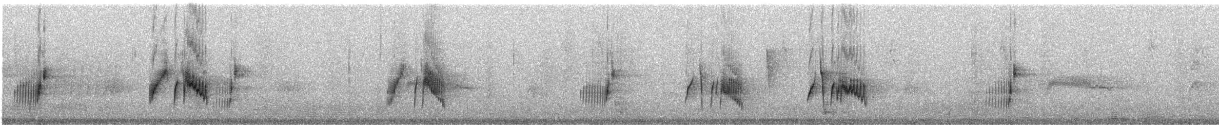 vierempid (extimus) - ML251417041