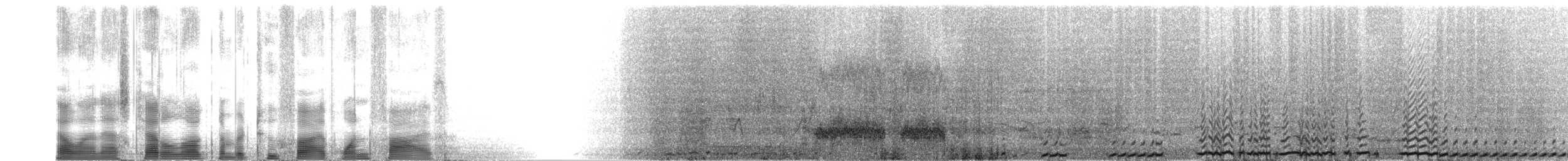 Black Grouse - ML2515