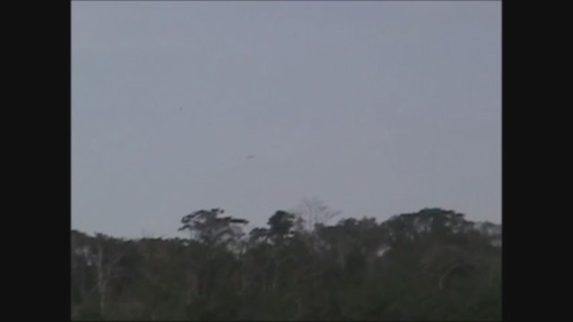 שדמית מזרחית - ML251542561