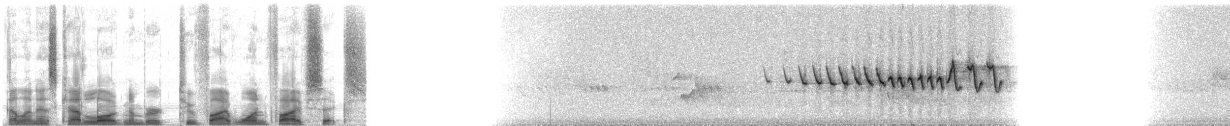 Bewick Çıtkuşu - ML25156