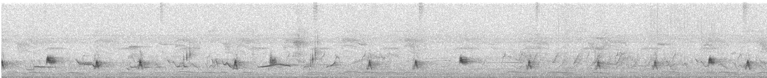 Şerit Karınlı Çıtkuşu - ML251561331