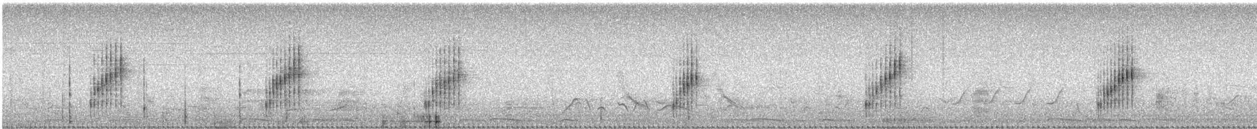 Şerit Karınlı Çıtkuşu - ML251569171