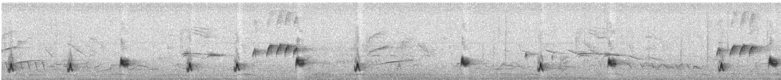 Troglodyte barré - ML251569241