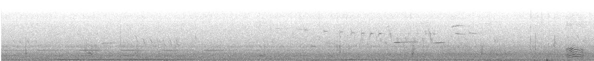 Goéland à bec cerclé - ML251571081