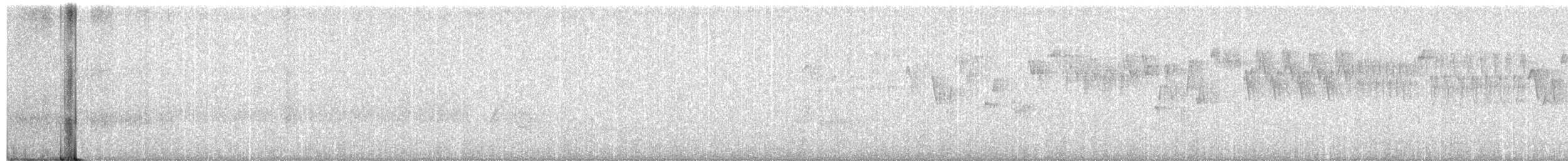 Troglodyte de Baird - ML251584361
