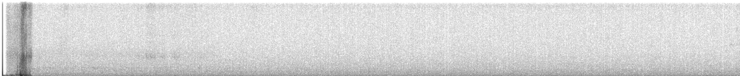 Troglodyte de Baird - ML251584471