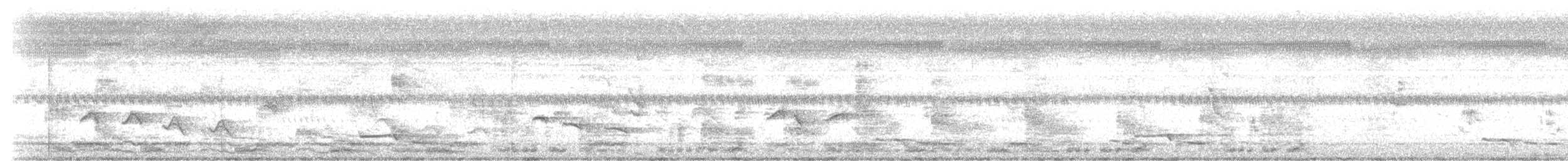 White-breasted Waterhen - ML251589671