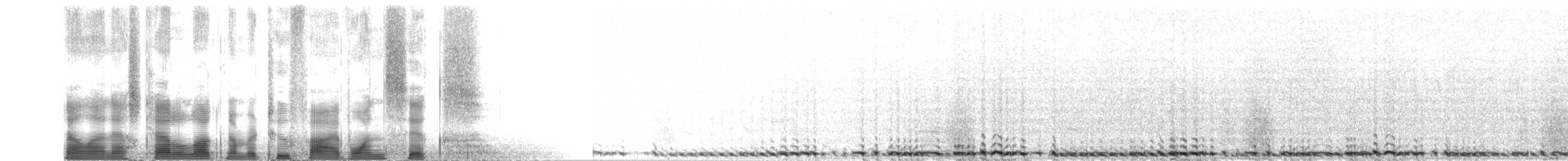 Black Grouse - ML2516