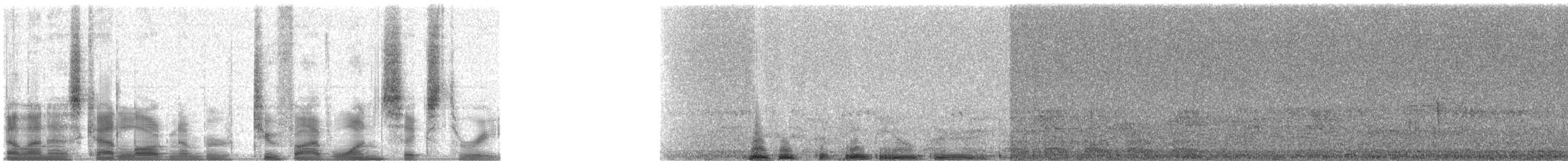 Coppery-tailed Trogon - ML25163