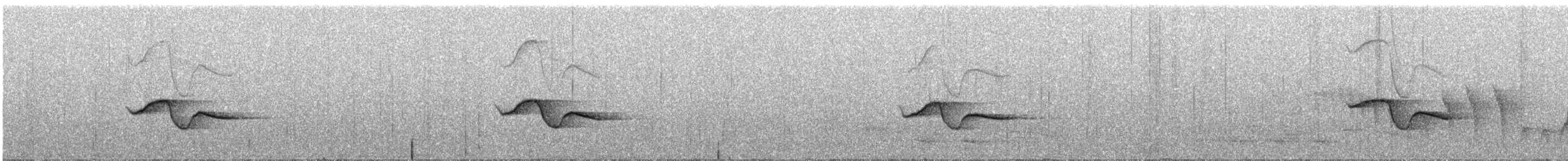 grovstripehonningeter - ML251636581