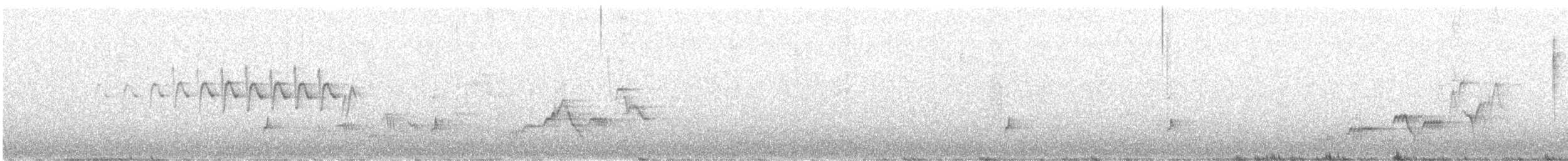 Дрізд-короткодзьоб Cвенсона - ML251655711