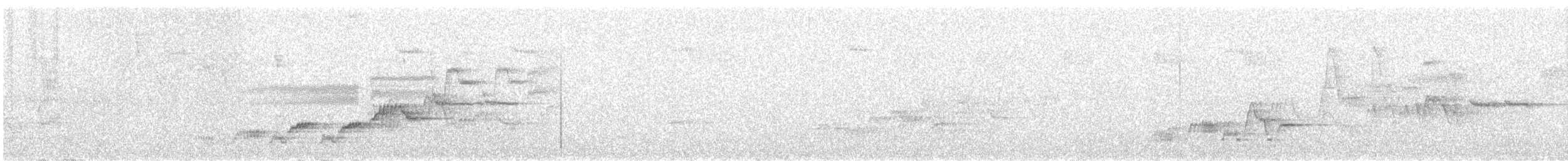 Дрізд-короткодзьоб Cвенсона - ML251656481