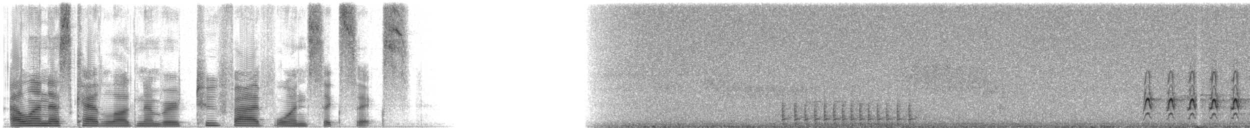 Northern Flicker (Red-shafted) - ML25166