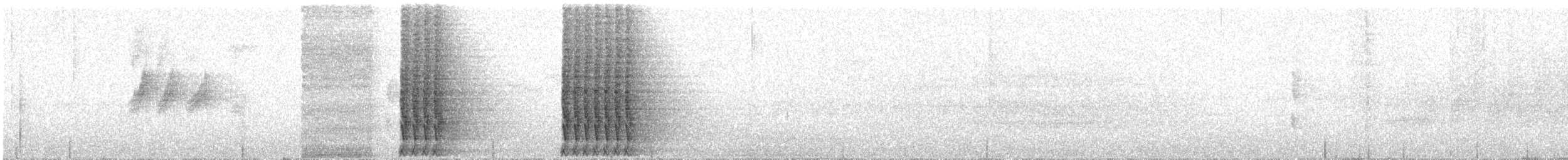 Дивоптах-шилодзьоб бурий - ML251699381