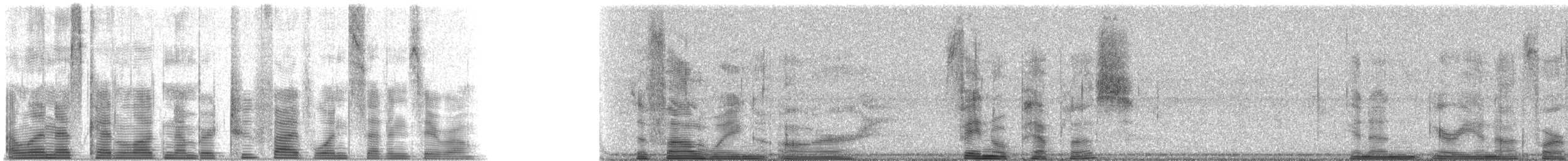 Phainopepla - ML25170